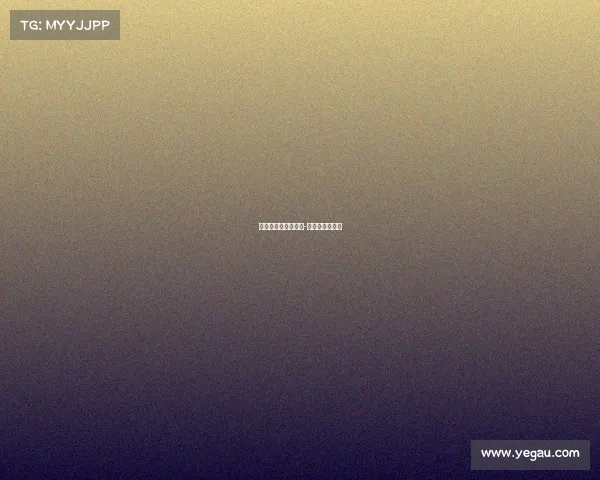 关于足球的所有赛事-关于足球有哪些