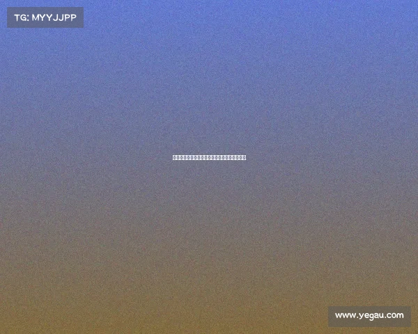 网球国内外重大赛事全景扫描精彩盛典深度追踪