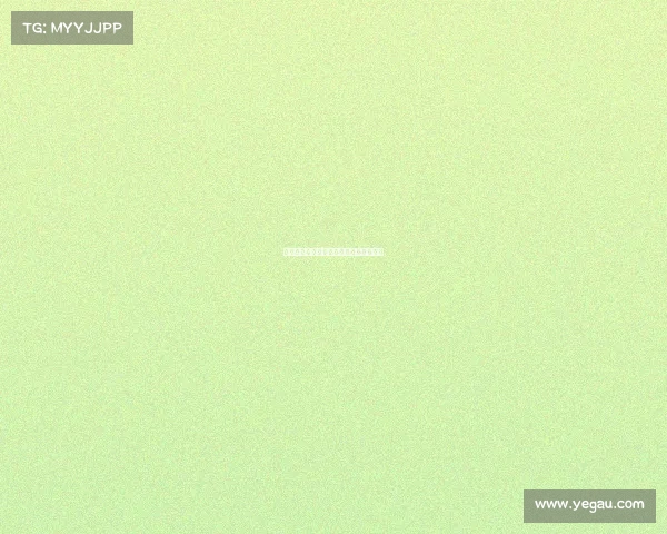 珠海大型赛事—珠海大型赛事志愿者活动