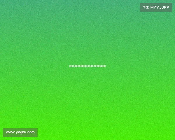 志愿服务大赛激情启航汇聚爱心力量共建和谐社会新纪元